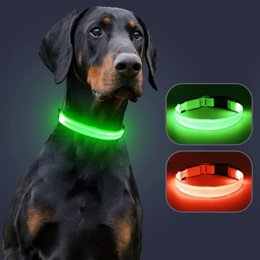 KlenviaLampe™ – Collier lumineux LED pour chien